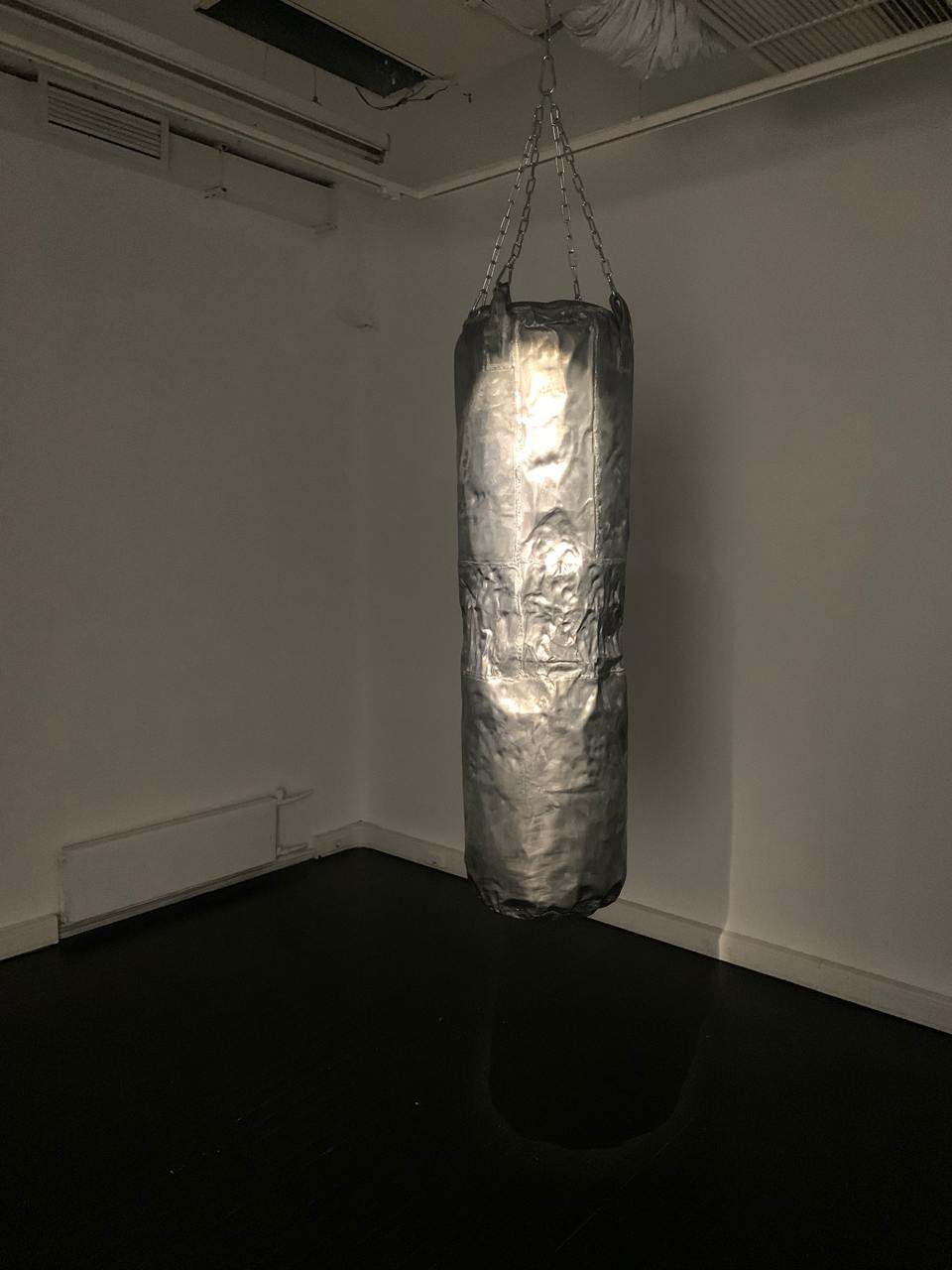 Персональные выставки Лизы Бобковой и Владимира Копейкина