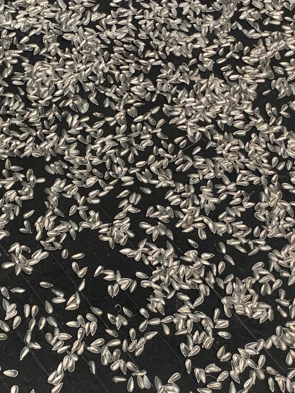 Персональные выставки Лизы Бобковой и Владимира Копейкина