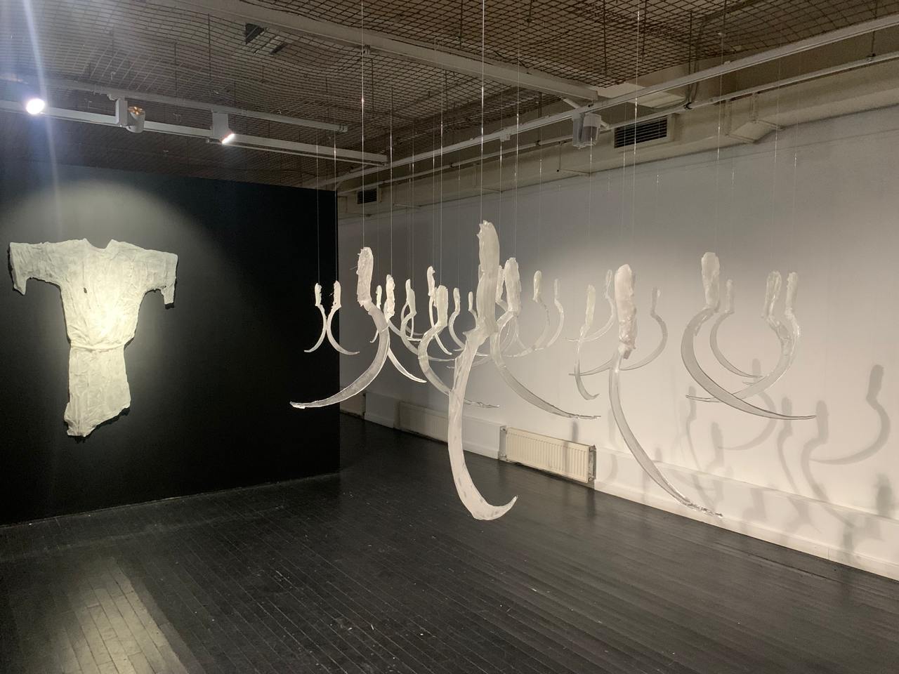 Персональные выставки Лизы Бобковой и Владимира Копейкина