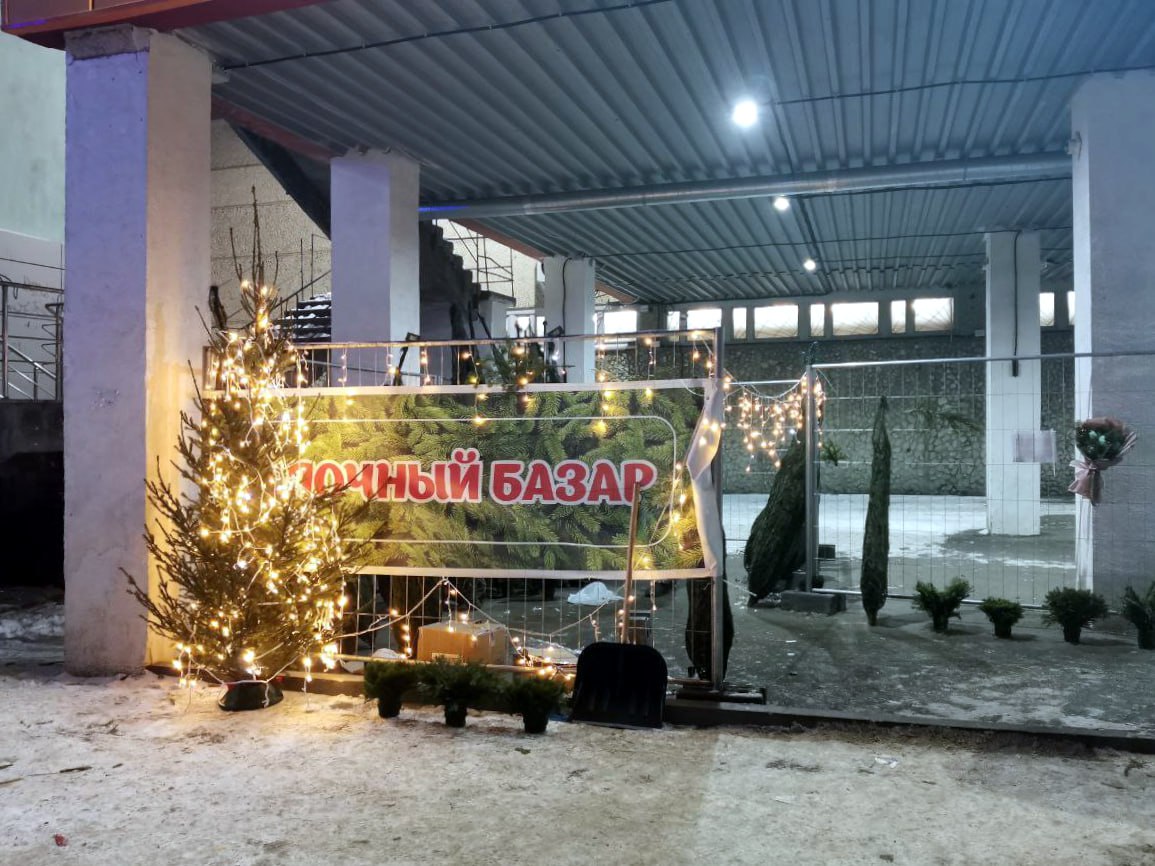 Ёлочный круговорот