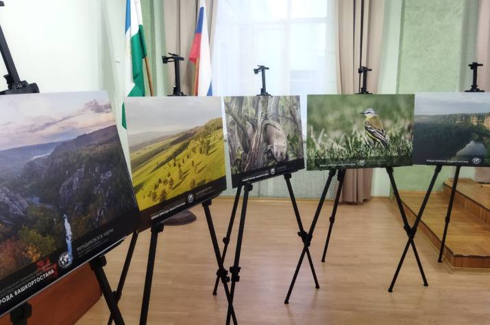 Выставка работ победителей VII фотоконкурса «Живая природа Башкортостана»