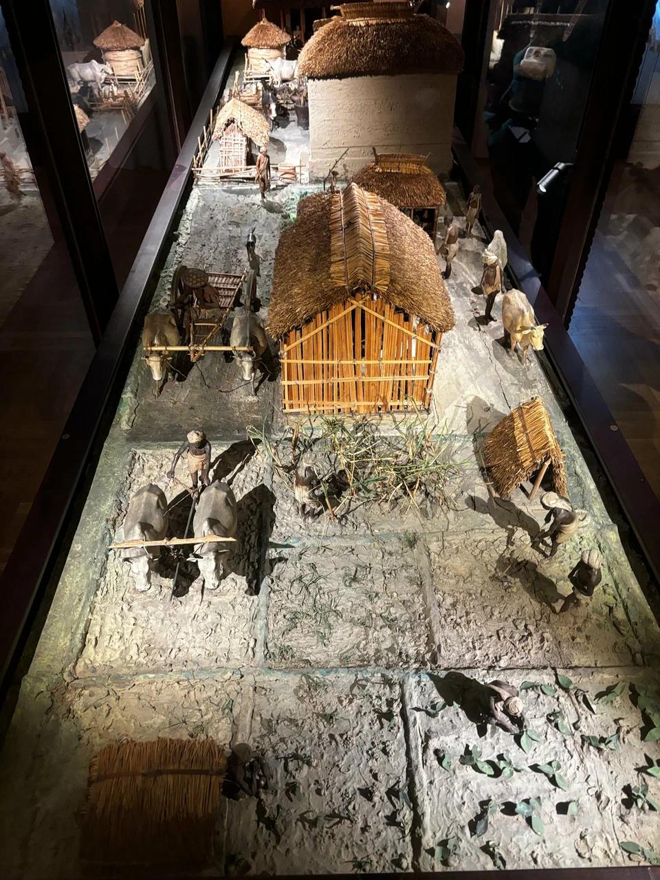 Идём в Кунсткамеру