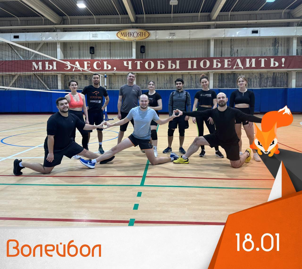 Волейбол (игра)