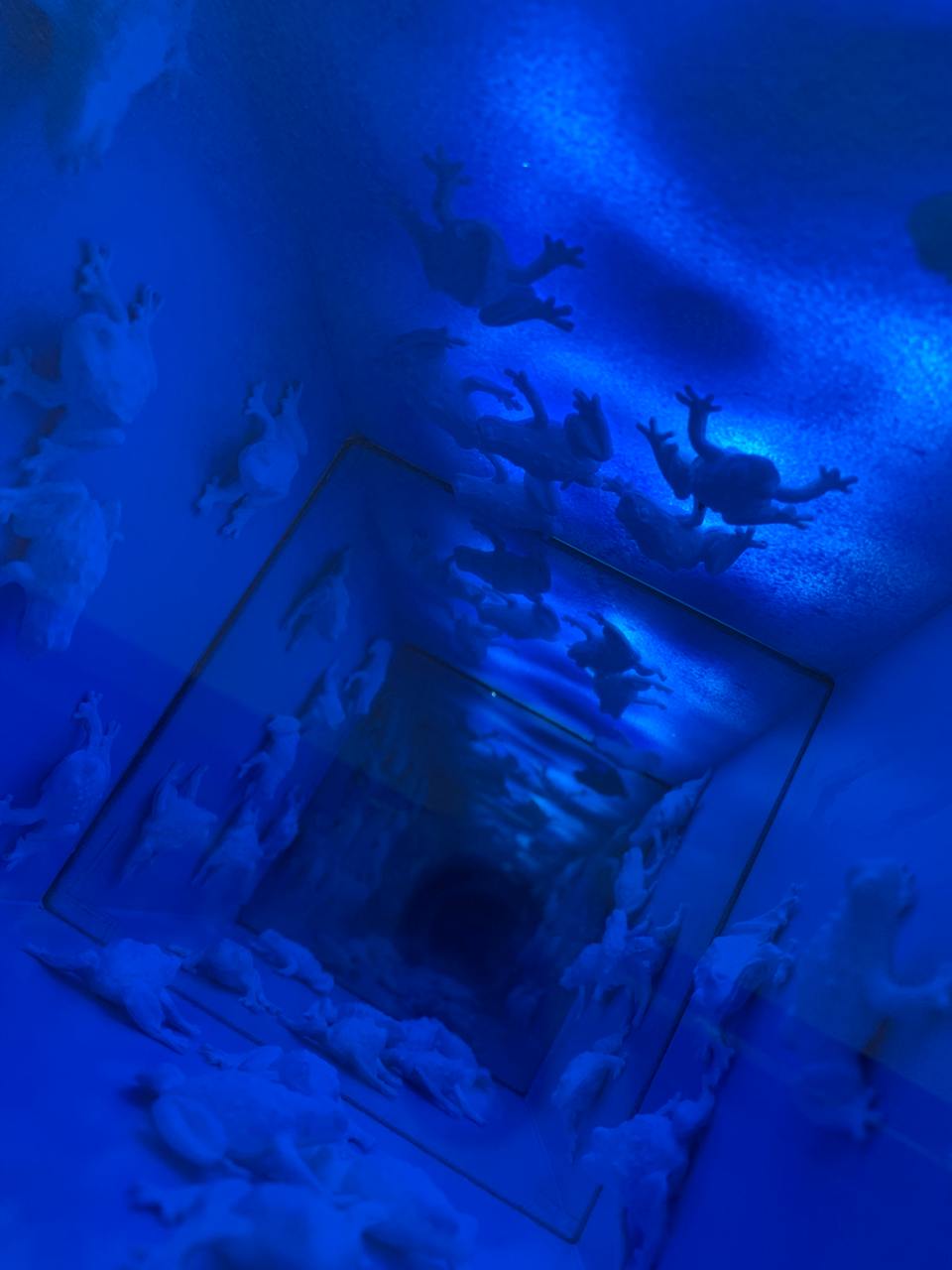 Выставка современного искусства