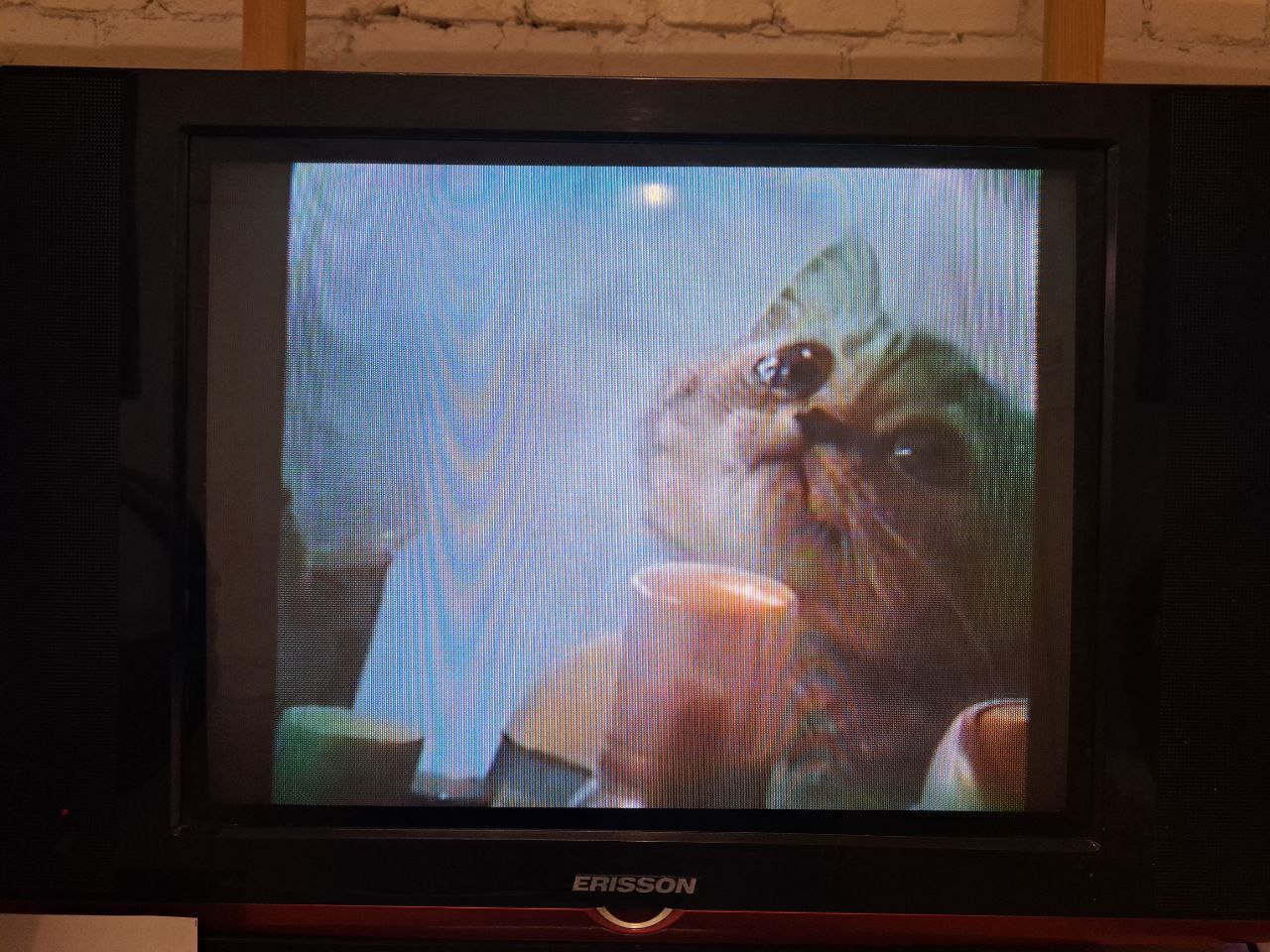 Лаборатория работы с домашними архивами в филиале Пушкинского музея