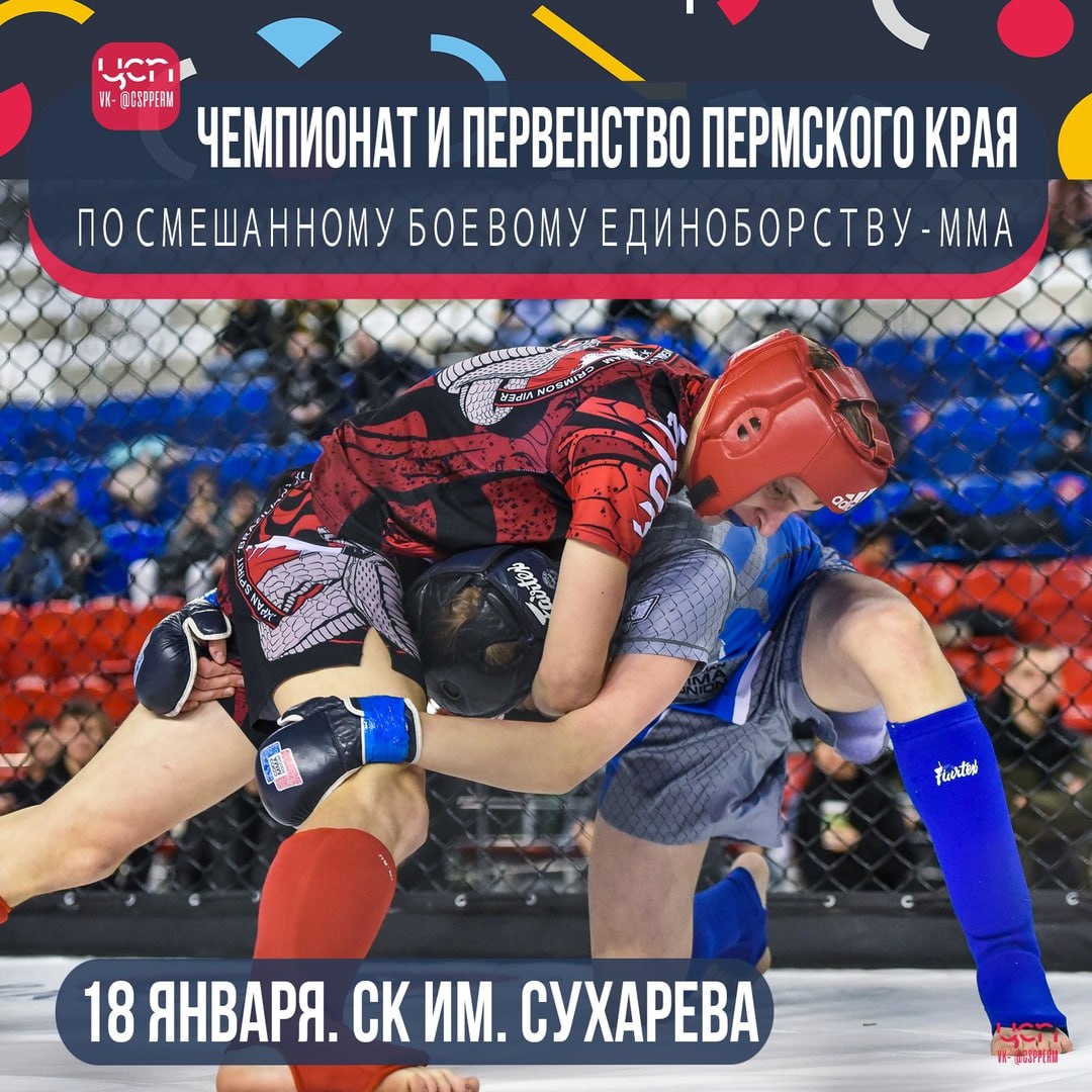 Чемпионат и Первенство Пермского края по смешанному боевому единоборству ММА