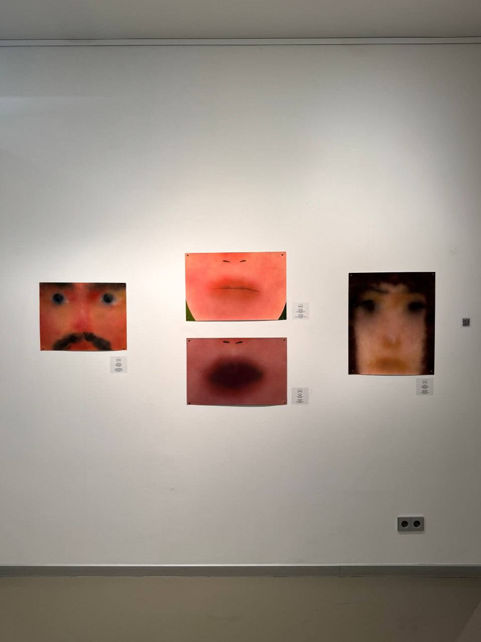 Ломтик жизни