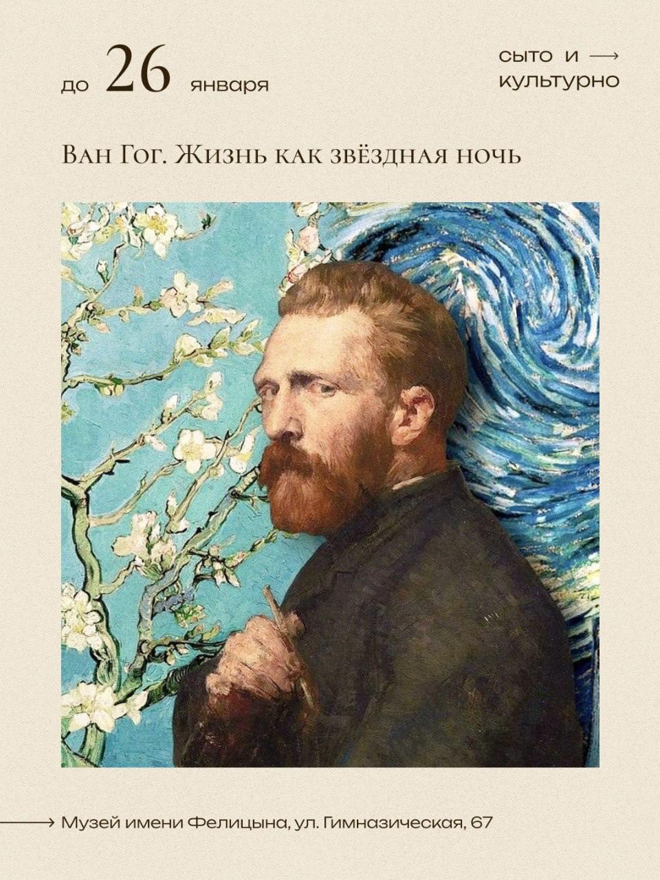 Ван Гог. Жизнь как Звёздная ночь