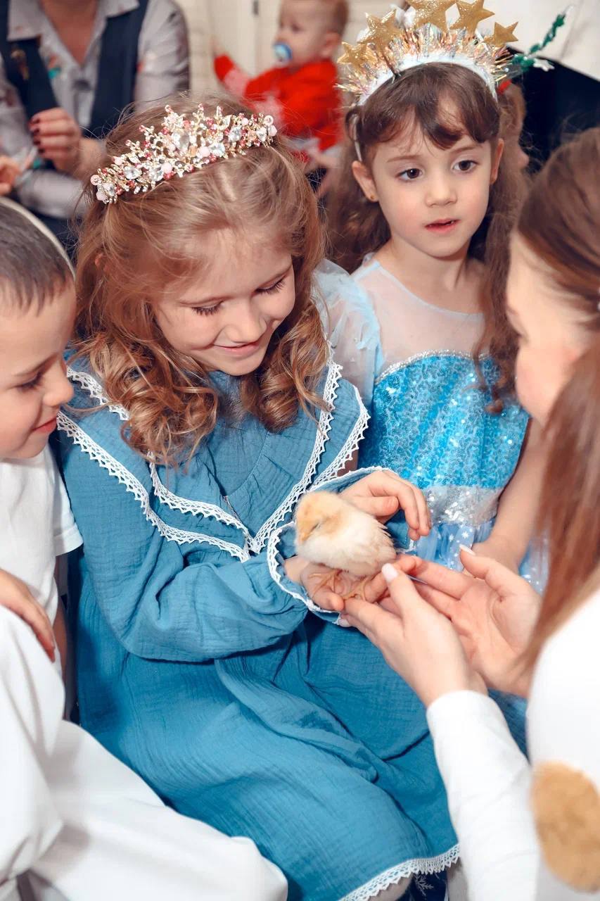 Театр «МАРИсОЛЬКА»