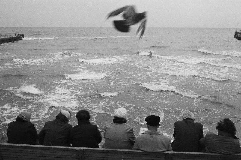 Выставка «Моментальная фотография. Сергей Рогожкин»