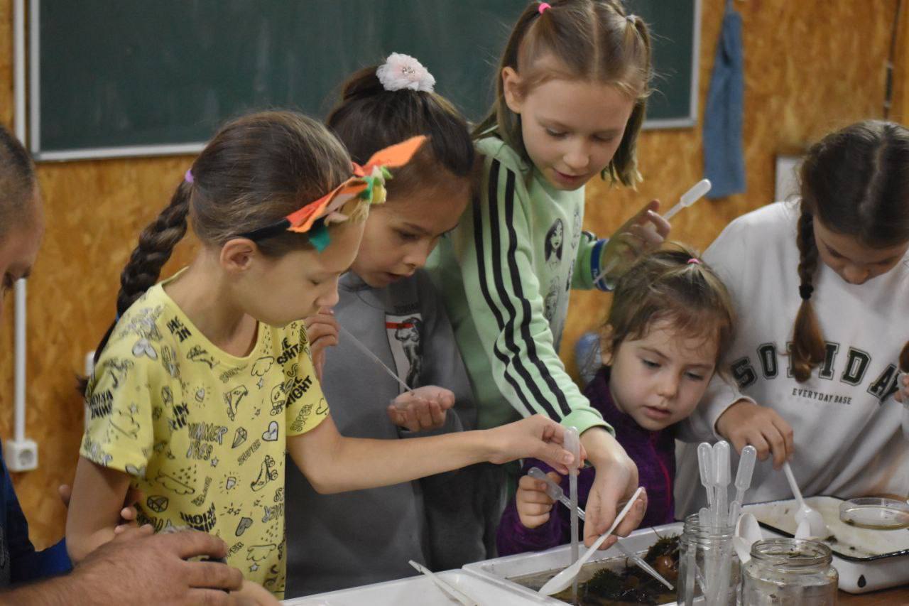 Чат мам «Тестируем игрушки»