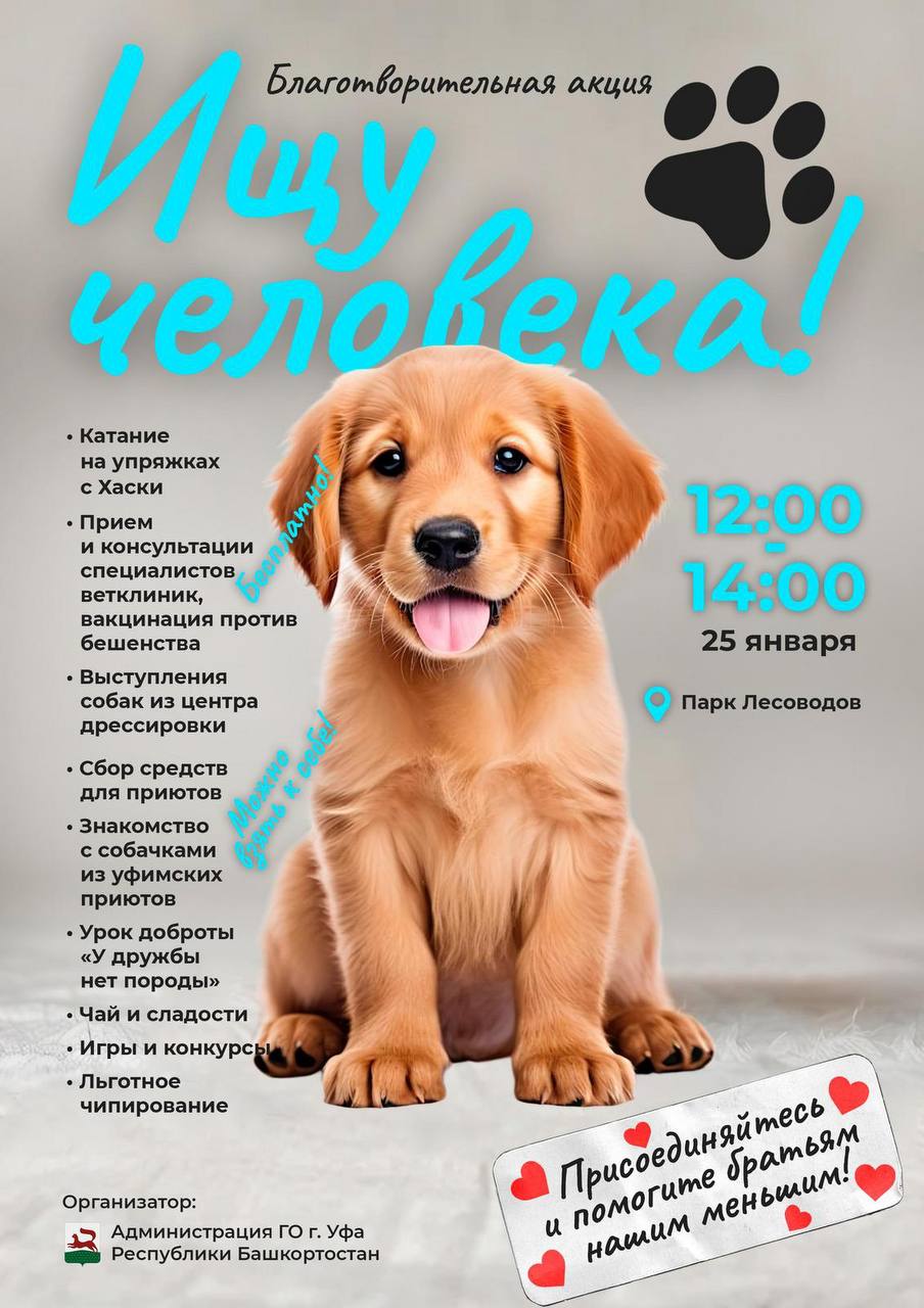 Акция помощи бездомным животным