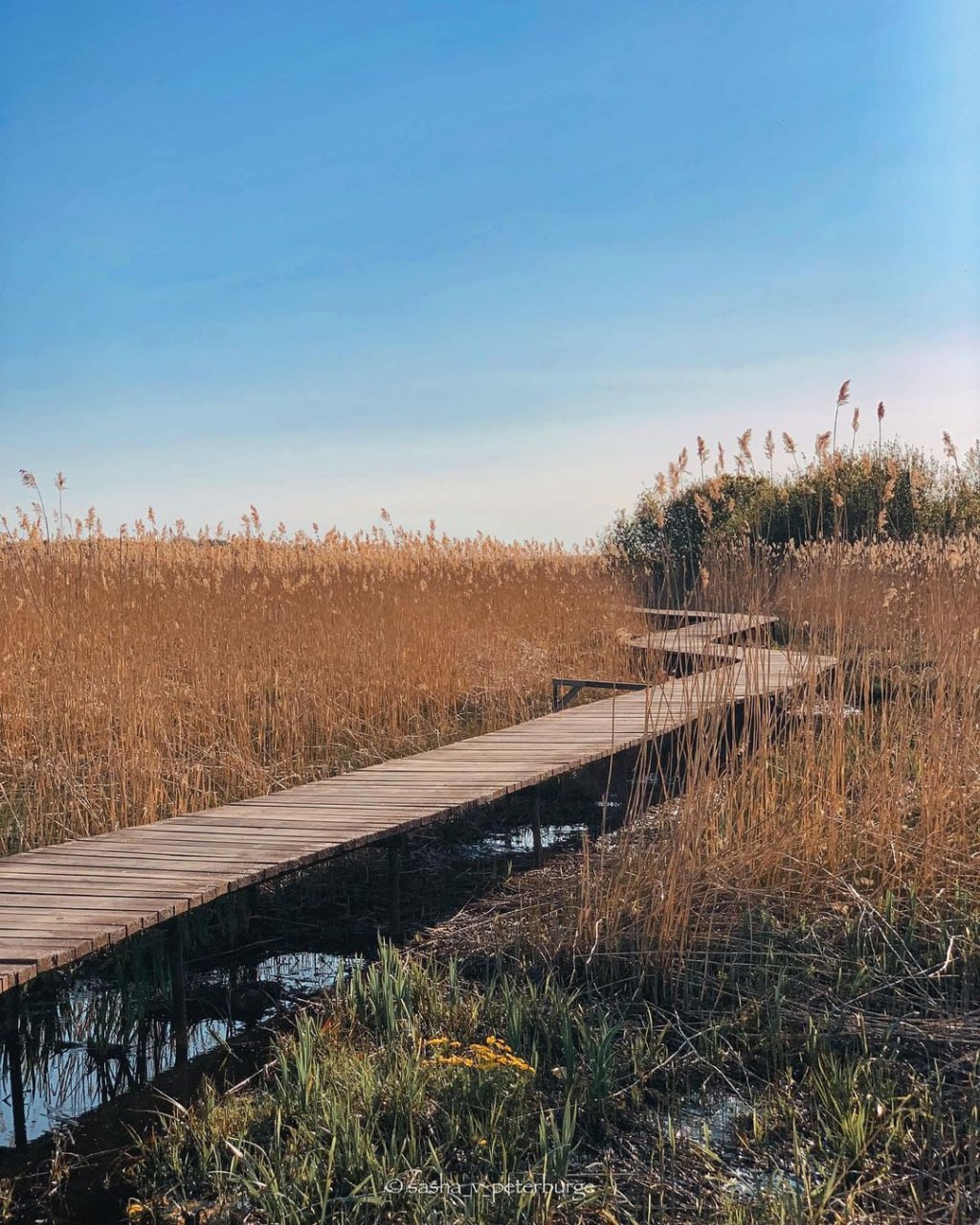 Эко-тропа «У Лукоморья»