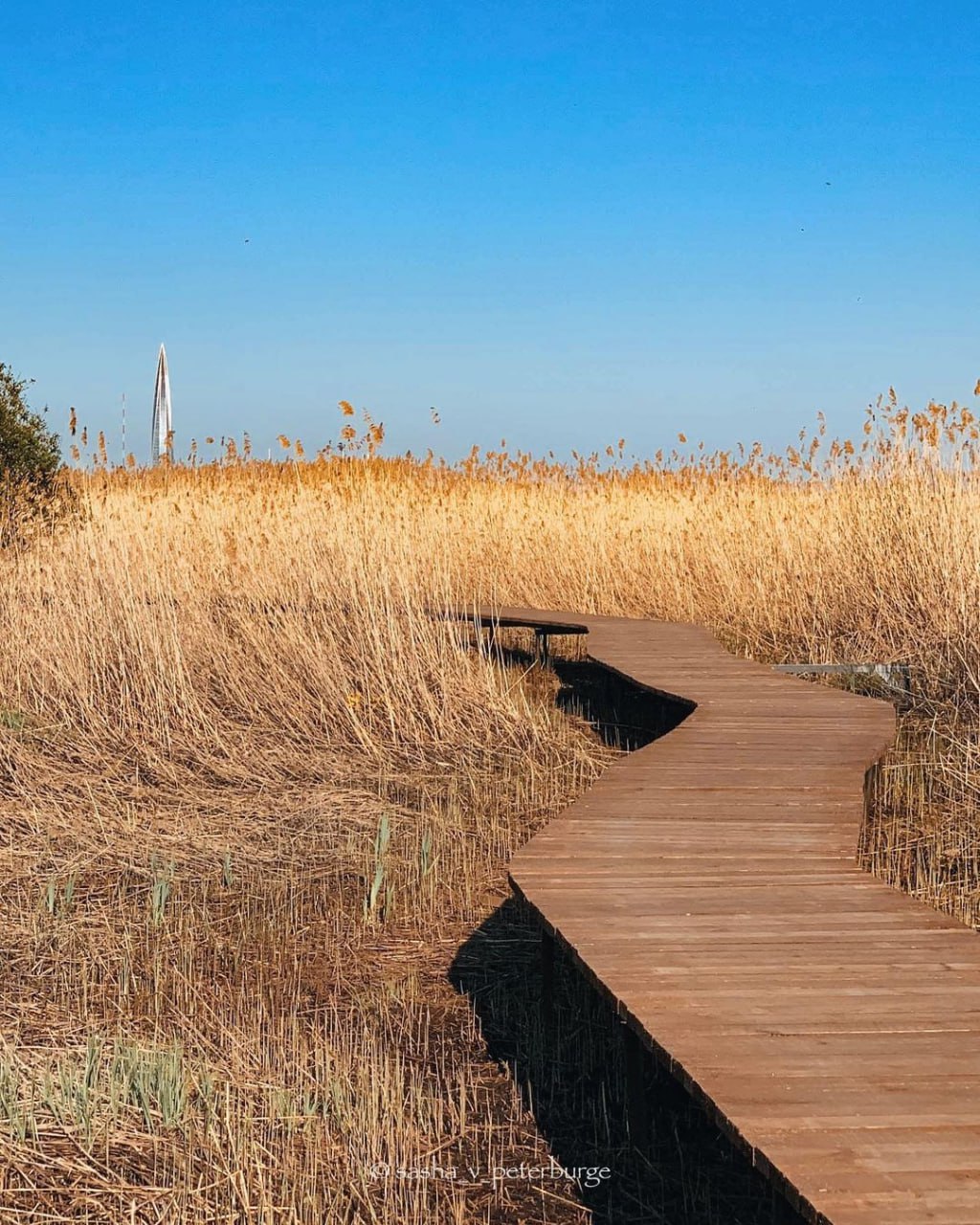 Эко-тропа «У Лукоморья»