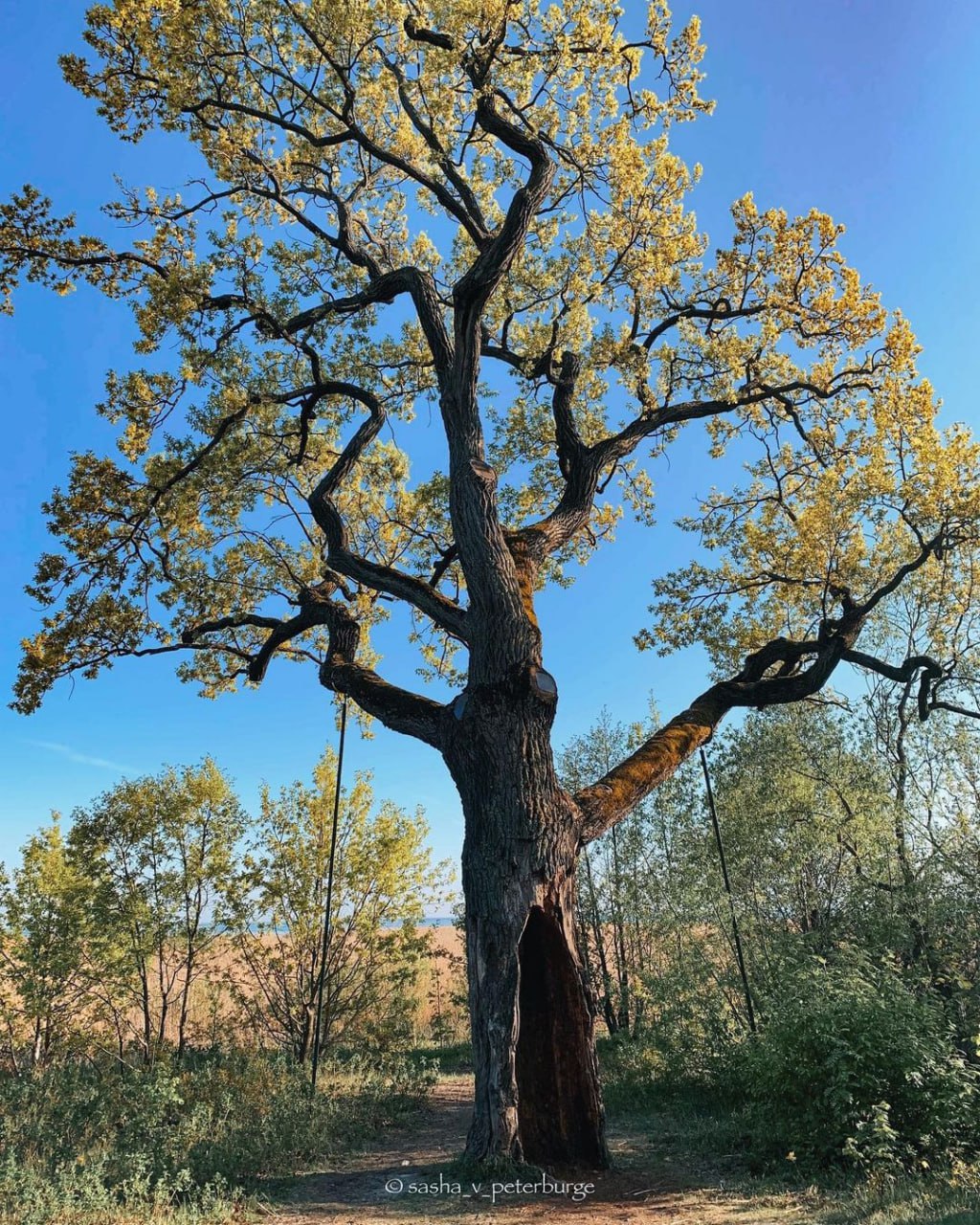 Эко-тропа «У Лукоморья»