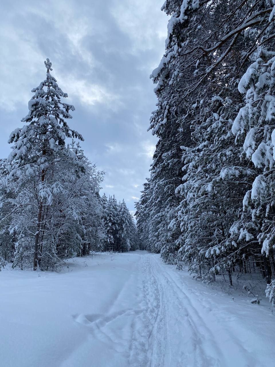 Встречаем весну на Богунае