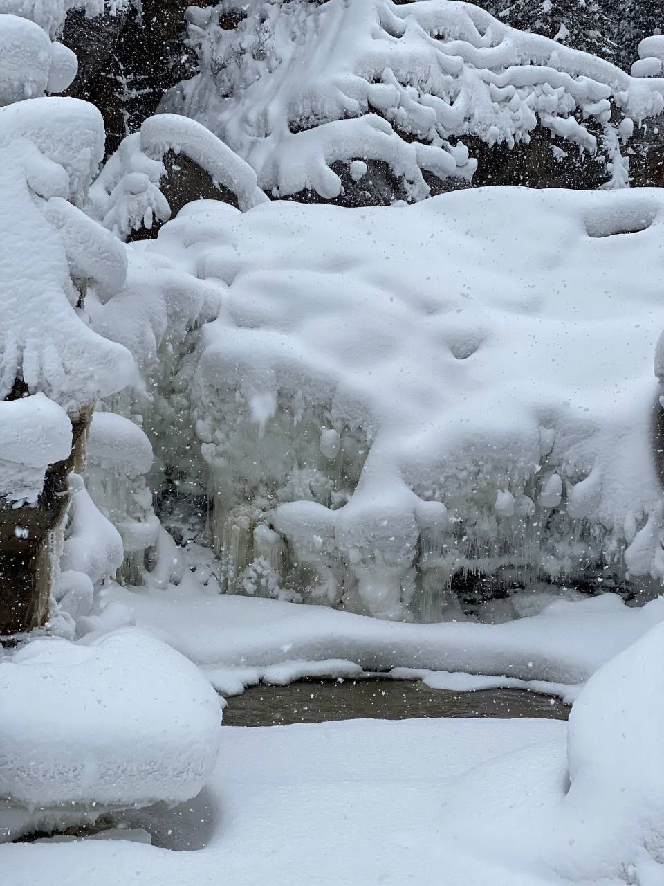 Встречаем весну на Богунае