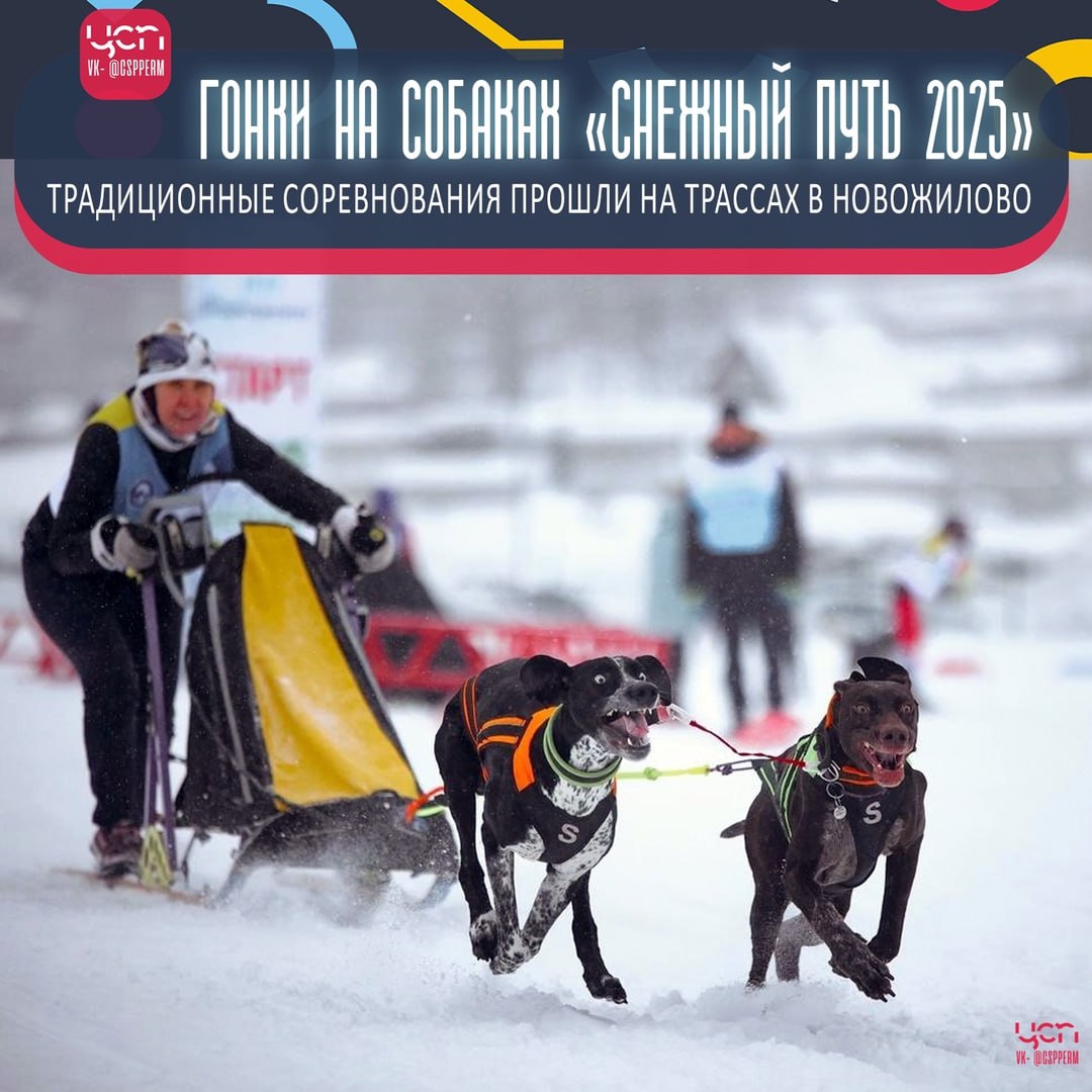 Зимняя гонка на собаках «Снежный путь 2025»