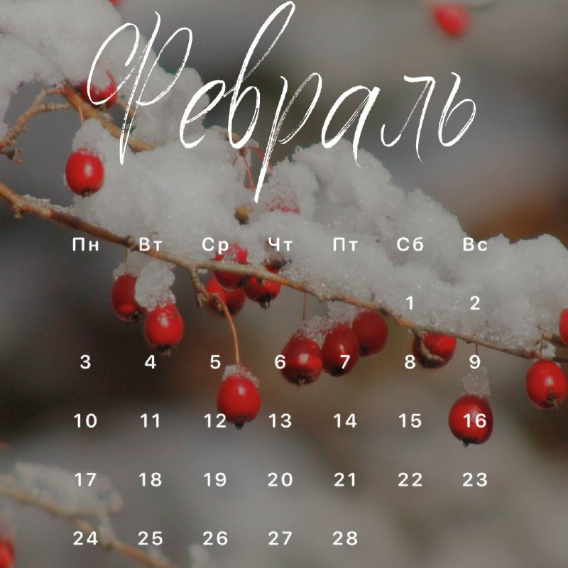 Серия зимних вокальных мастер-классов от студии вокала Voice of love