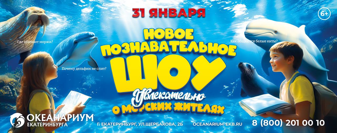 Наше познавательное шоу