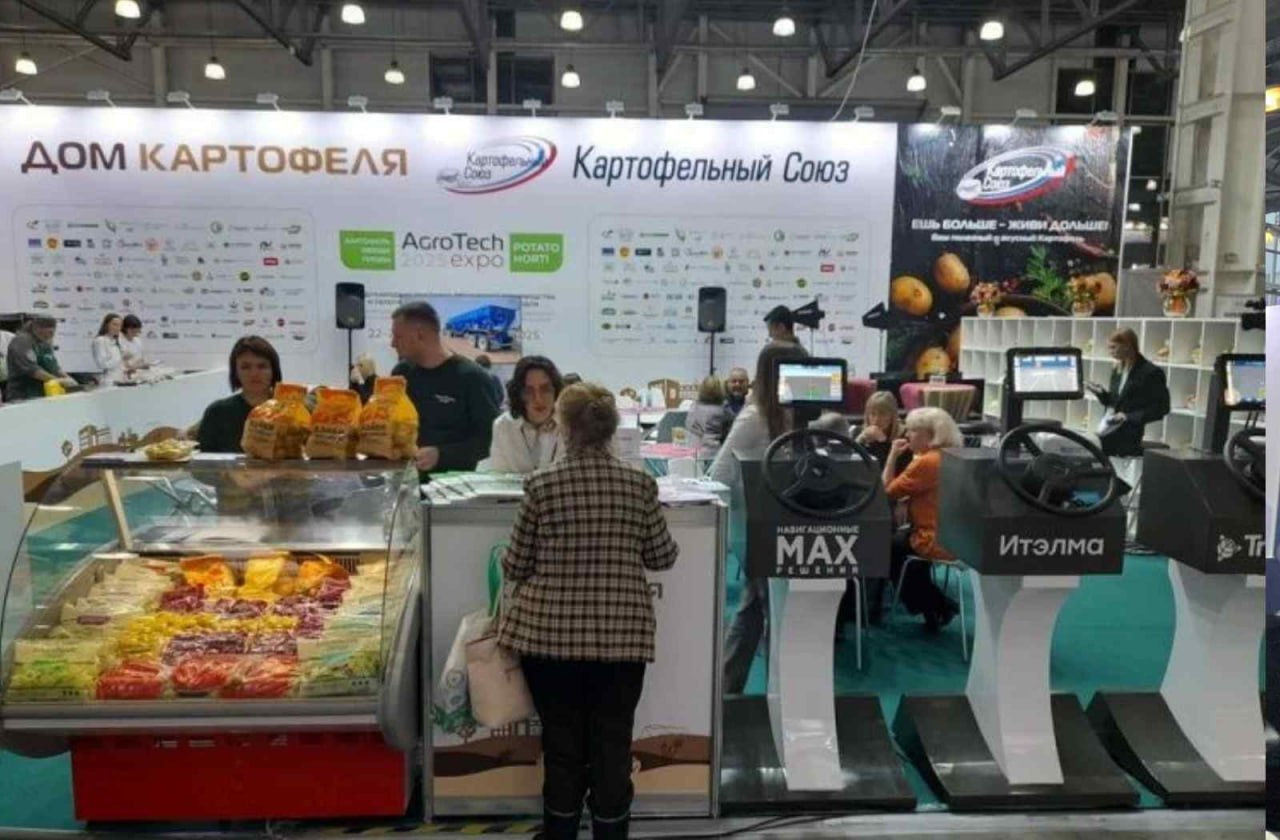 Представление сортов картофеля и дегустации блюд из картофеля и овощей