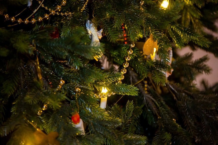 Выставка «От Рождества до Масленицы. История, традиции и немного чудес»