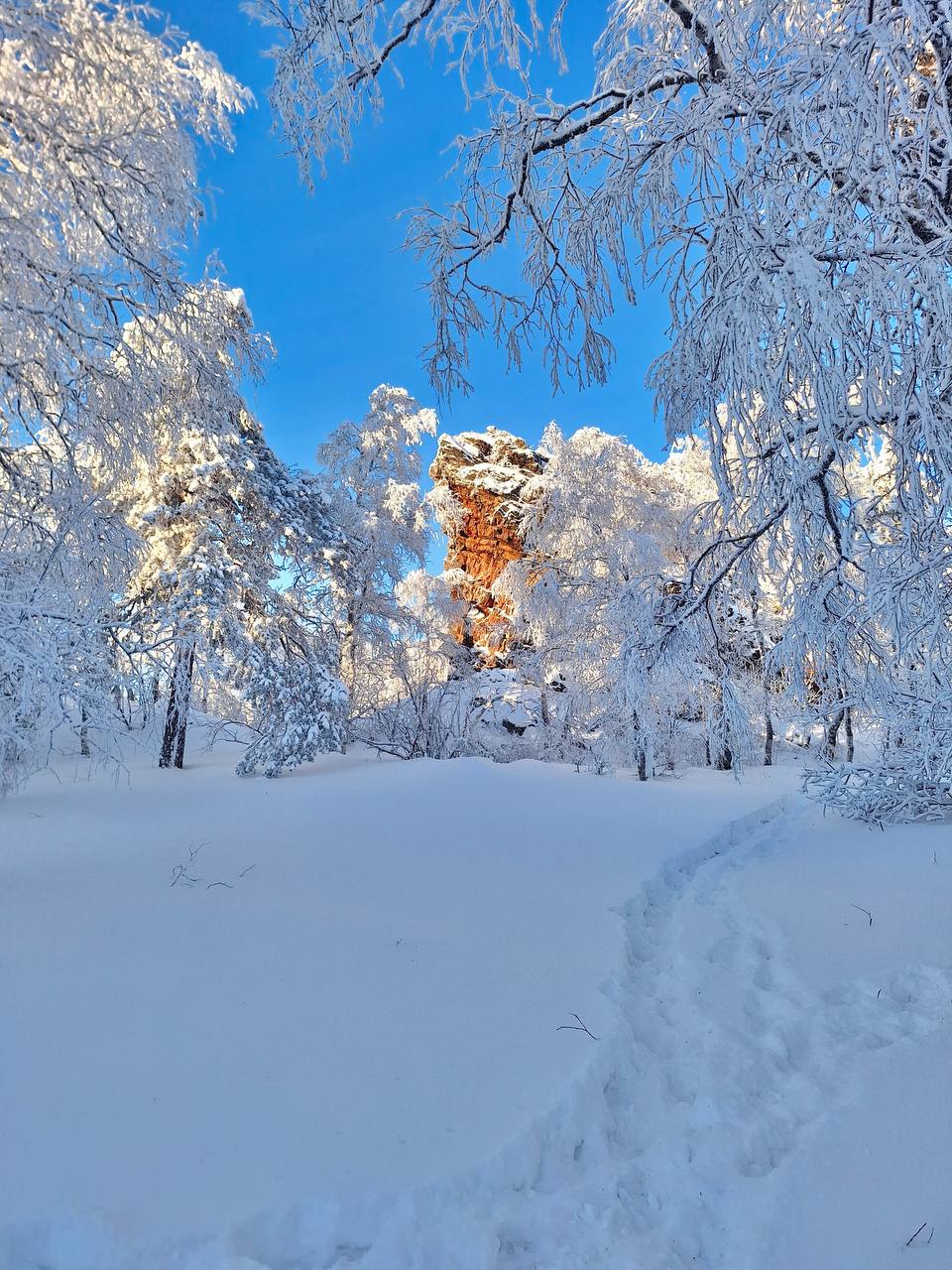 Конно-снегоходный тур на хребет Маярдак