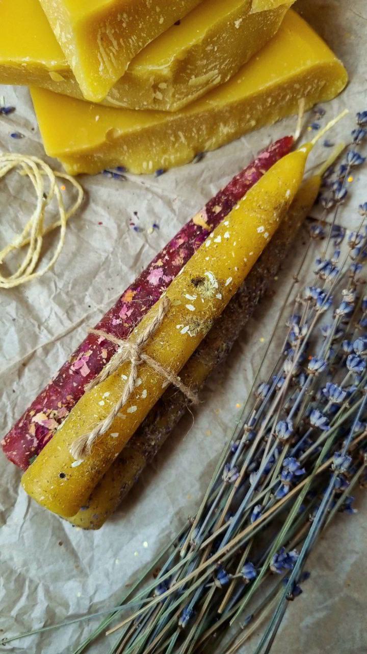 Праздник! Татьянин день и день студента