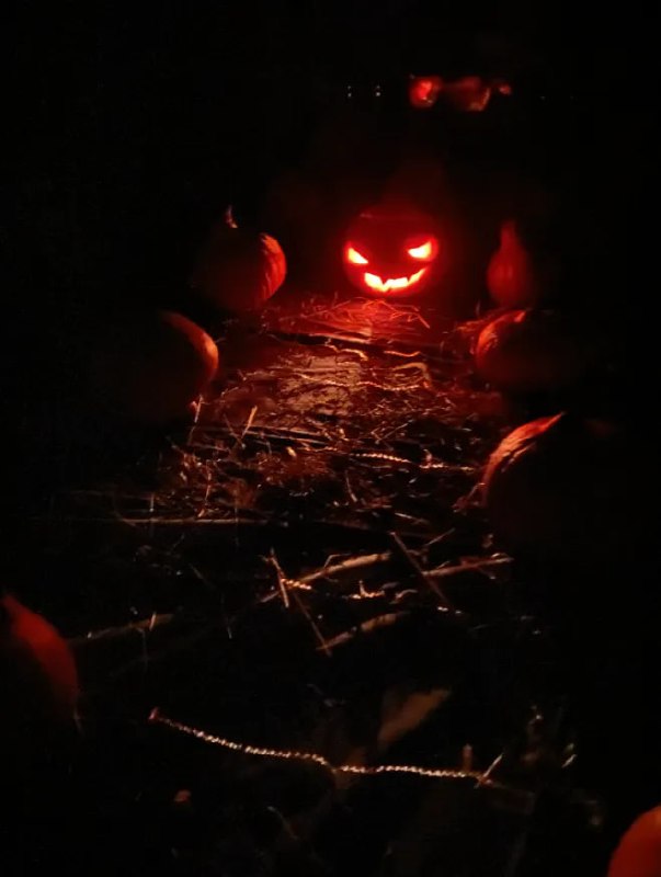 Иммерсивный Хэллоуин