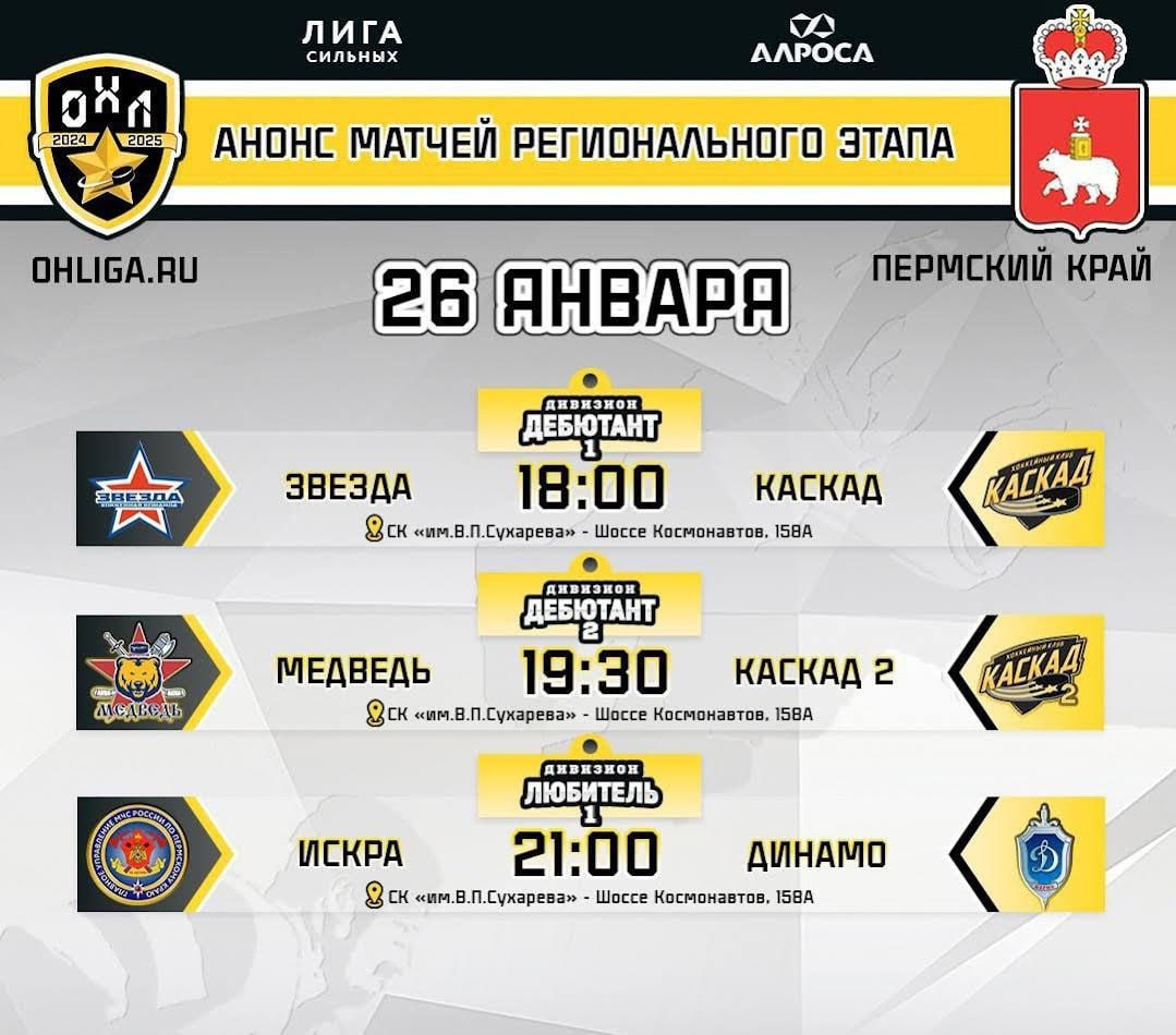 Очередная серия матчей Офицерской хоккейной лиги