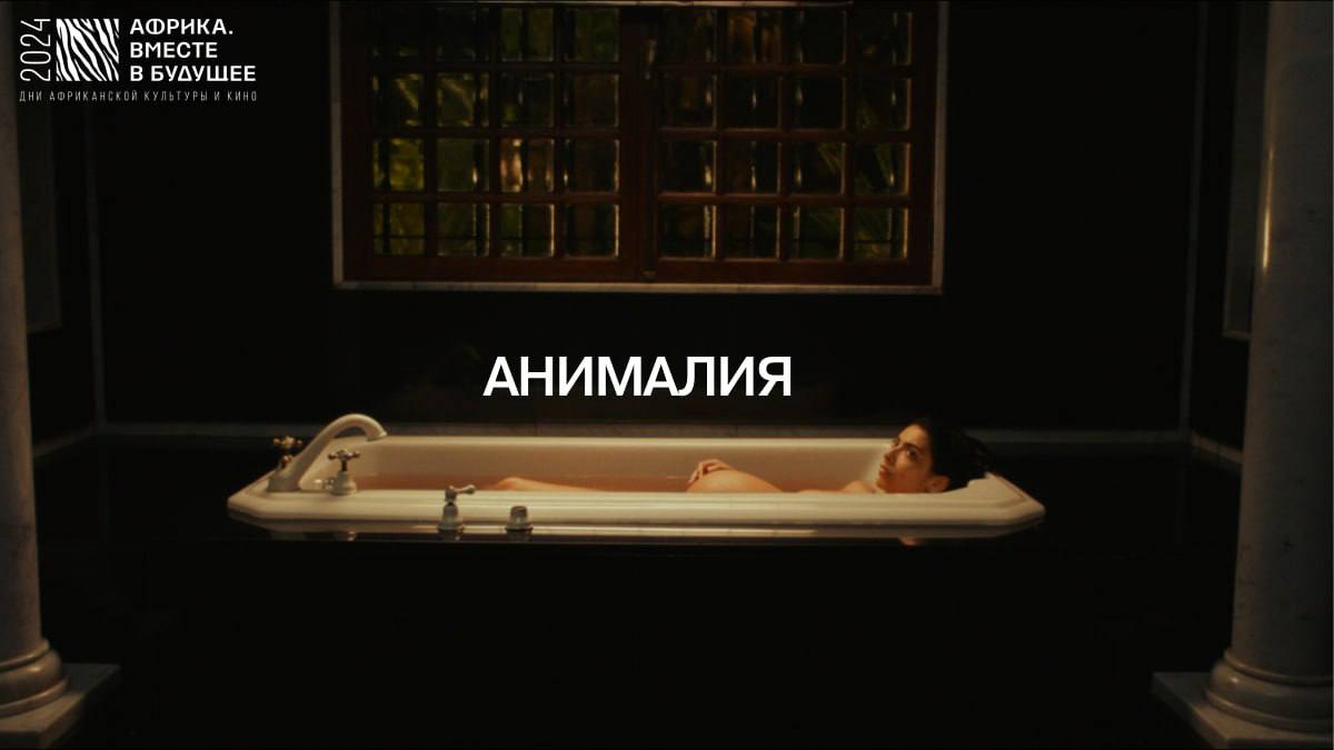 Фестиваль «Африка. Вместе в будущее»