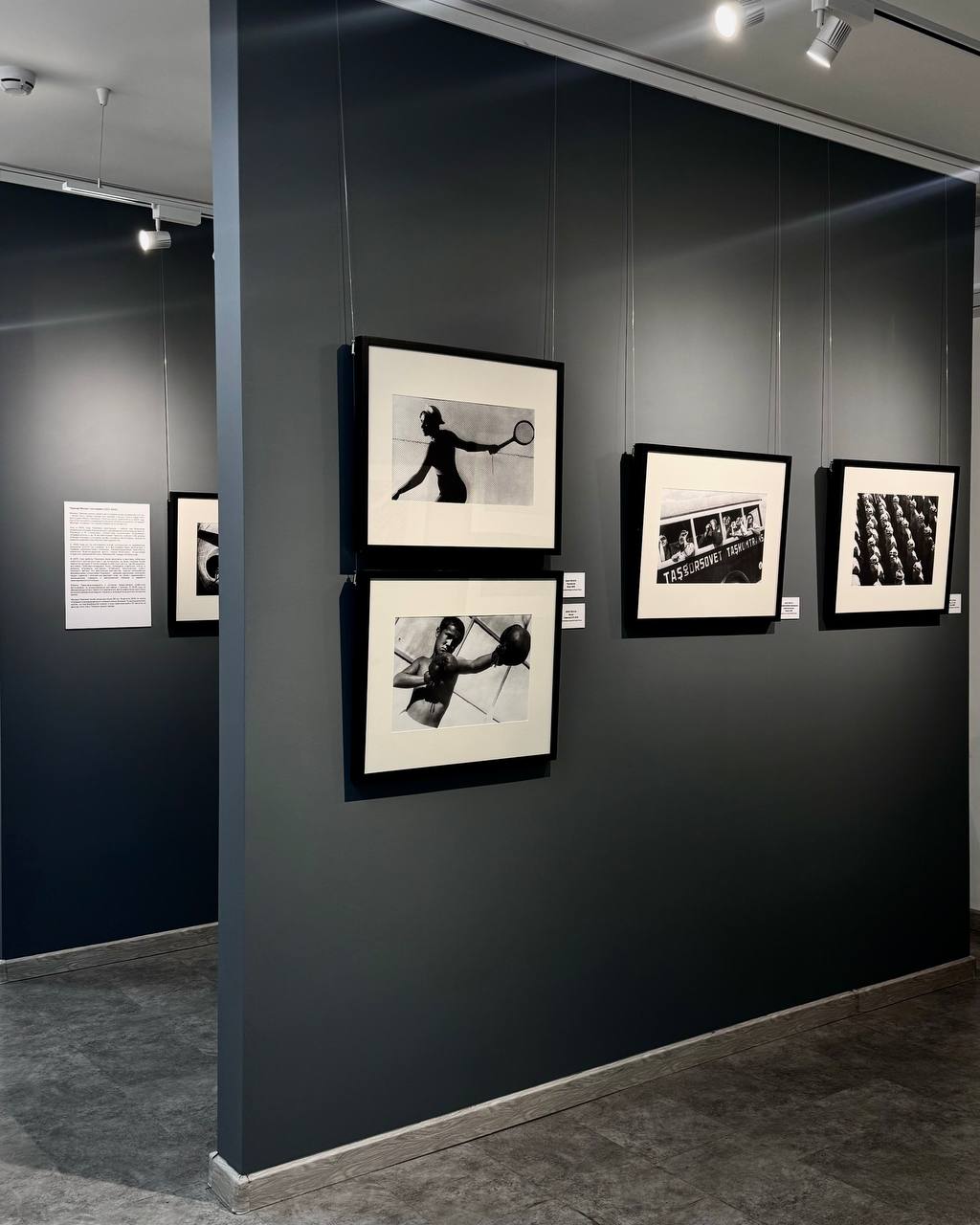 Фотоавангард 1920–1930-х