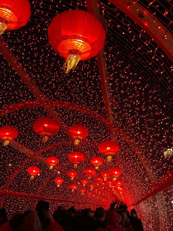 Китайский Новый год