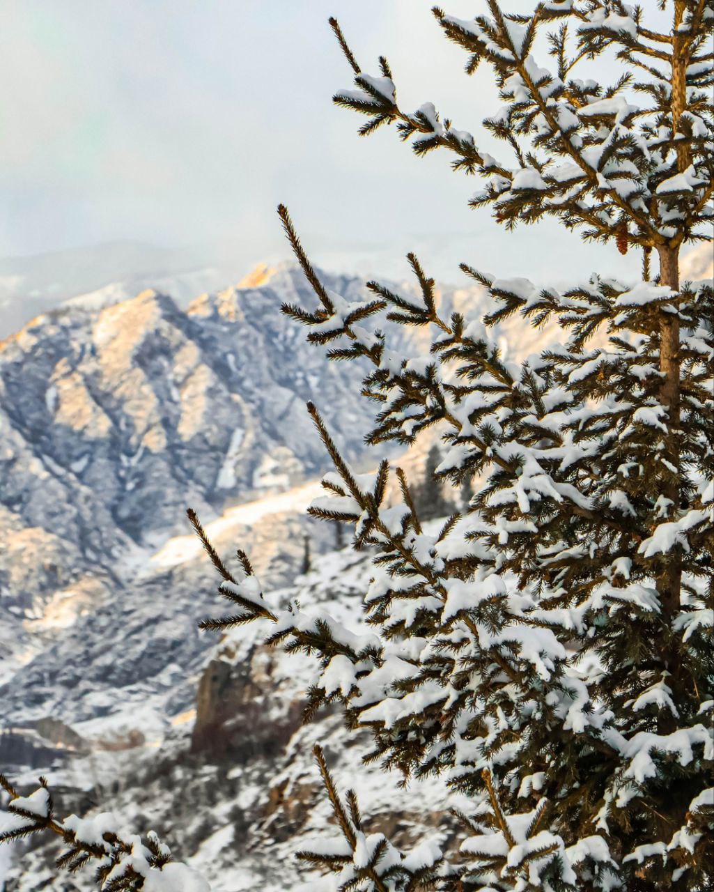 Зимняя сказка в Белокурихе