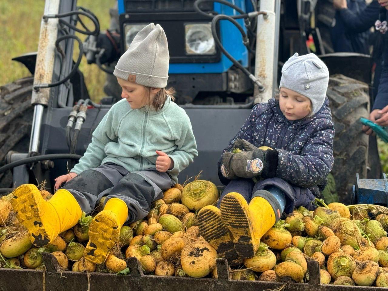 Большой семейный праздник Ижорской репы