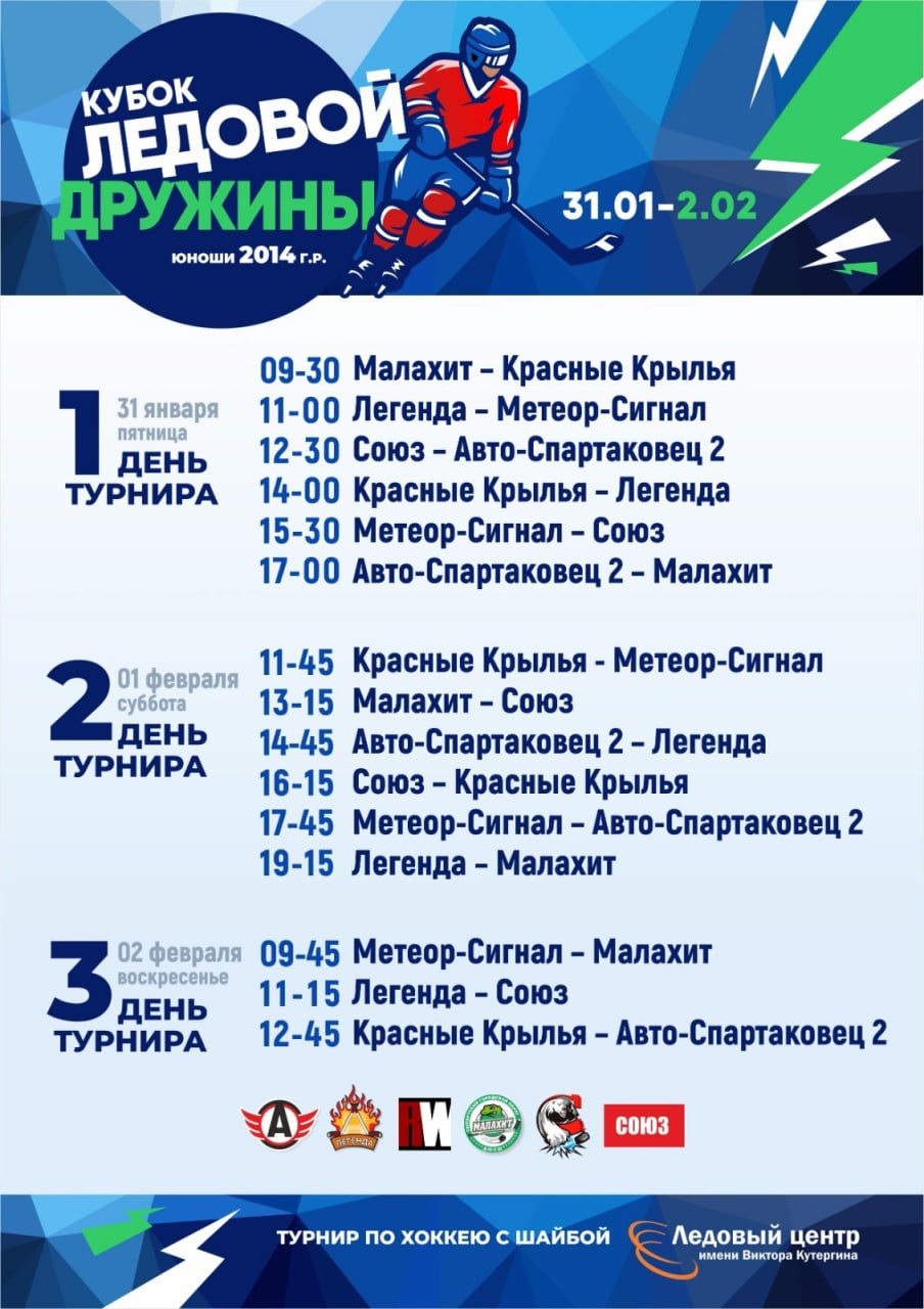 Кубок ледовой дружины