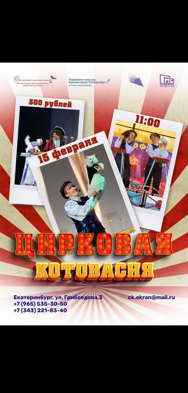 Цирковая Котовасия от театра кошек Кото Феи