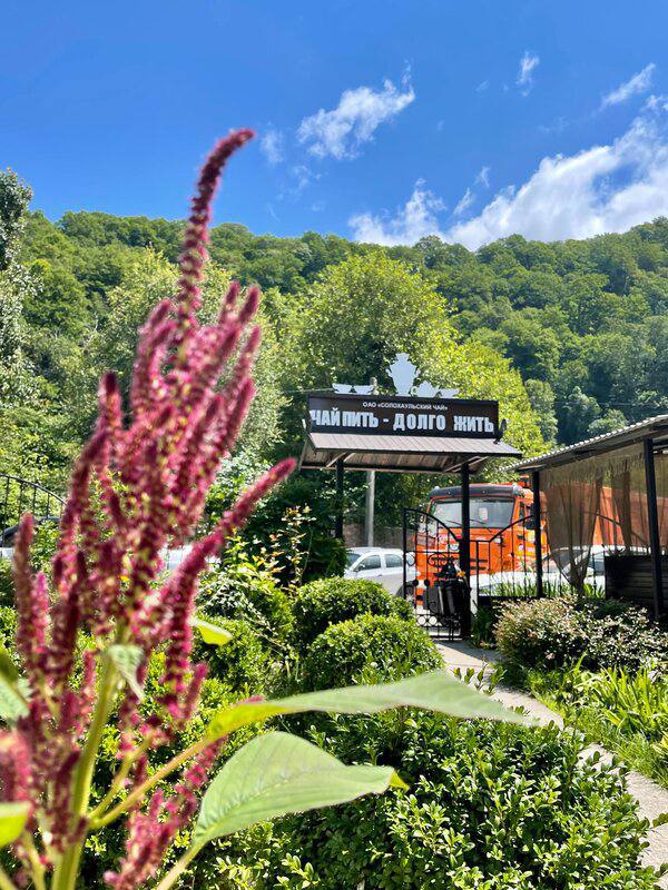 Музей - усадьба Кошмана