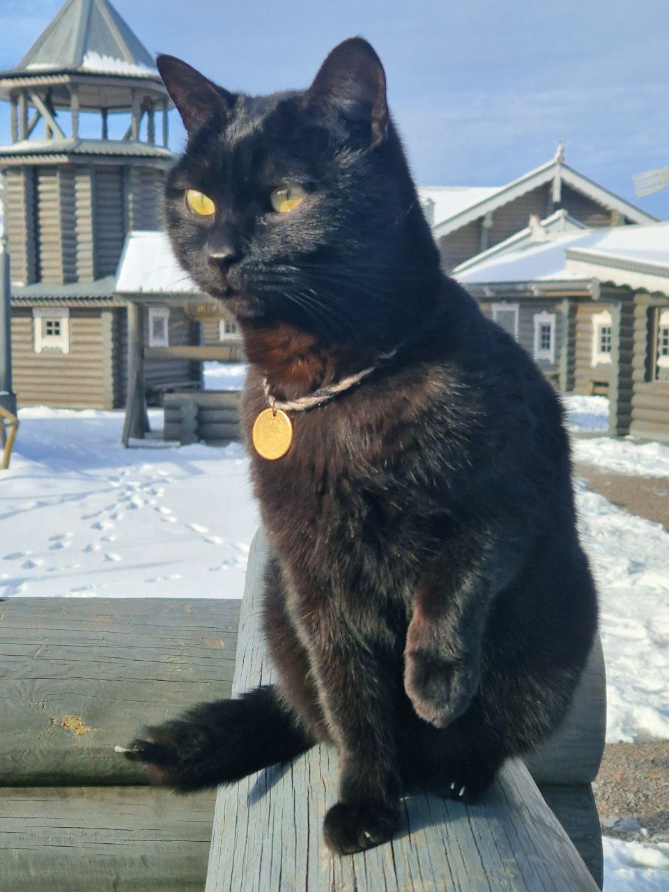 Город-крепость «Яблонов»