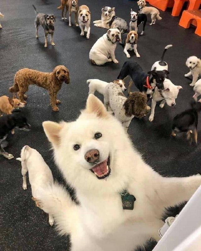 Благотворительный фестиваль «Юна-Фест»