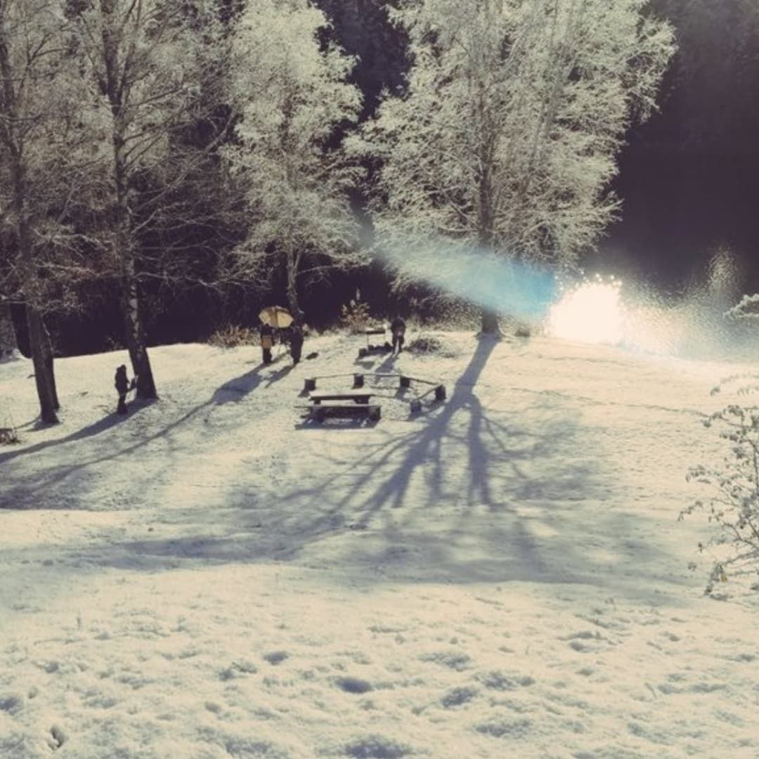 Академическая дача им. И.Е. Репина