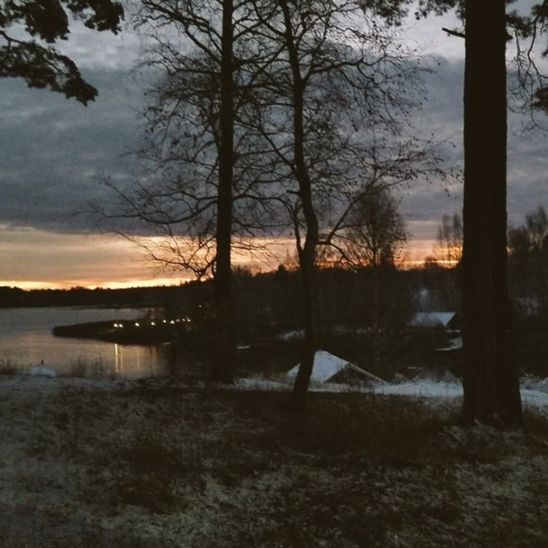 Академическая дача им. И.Е. Репина