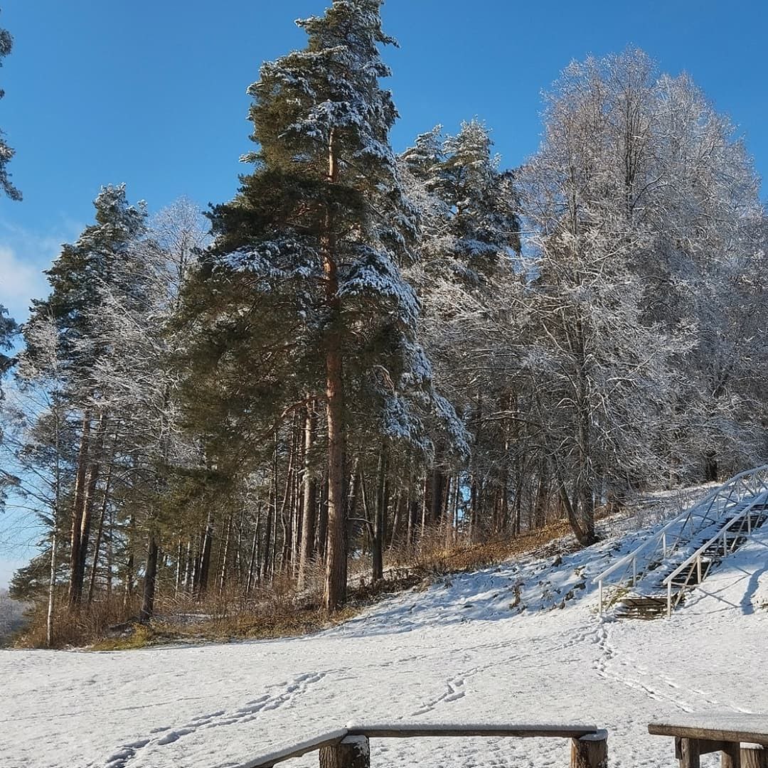 Академическая дача им. И.Е. Репина