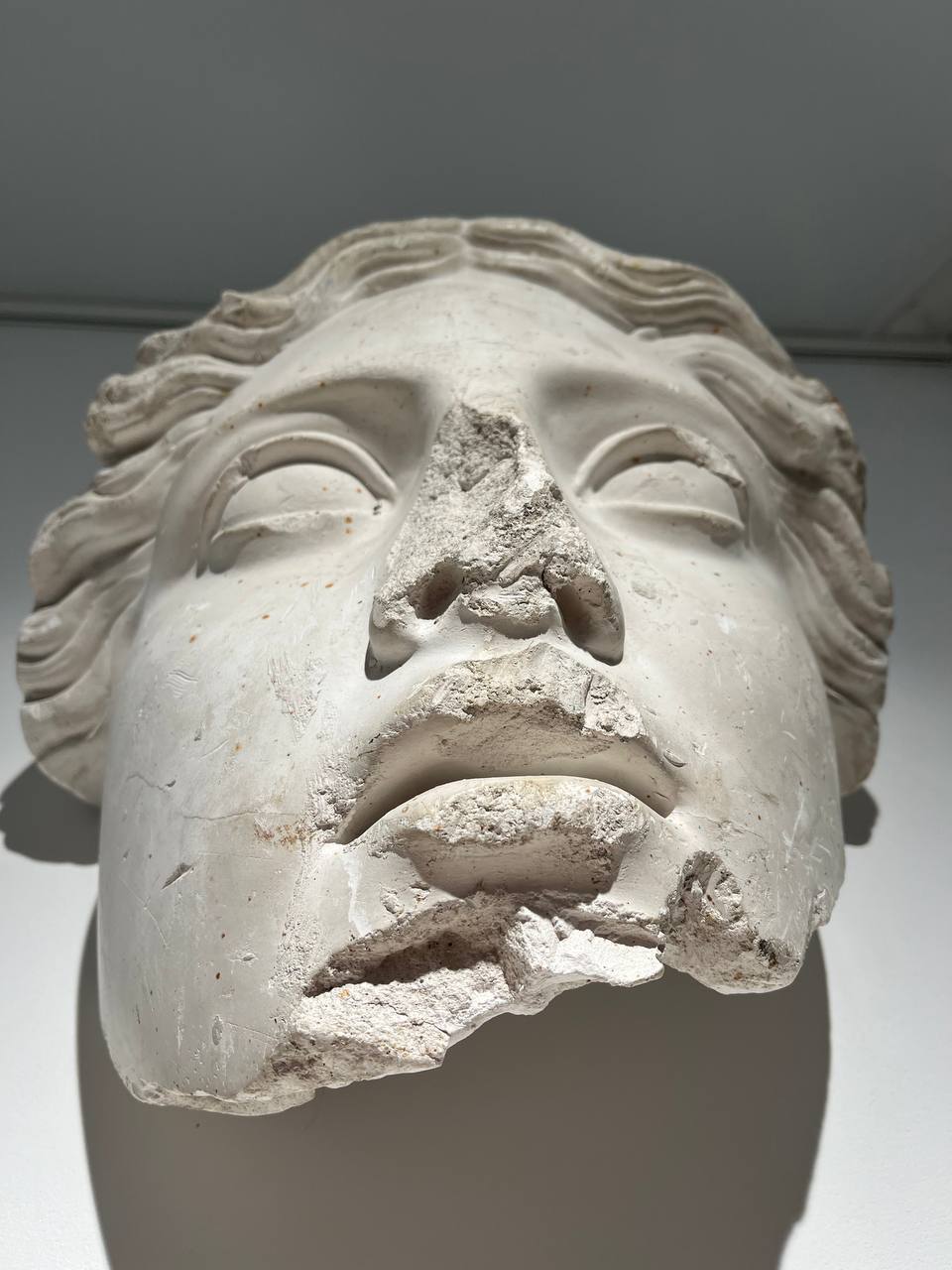 Выставка работ петербургского художника «Луций и его обезьянка»