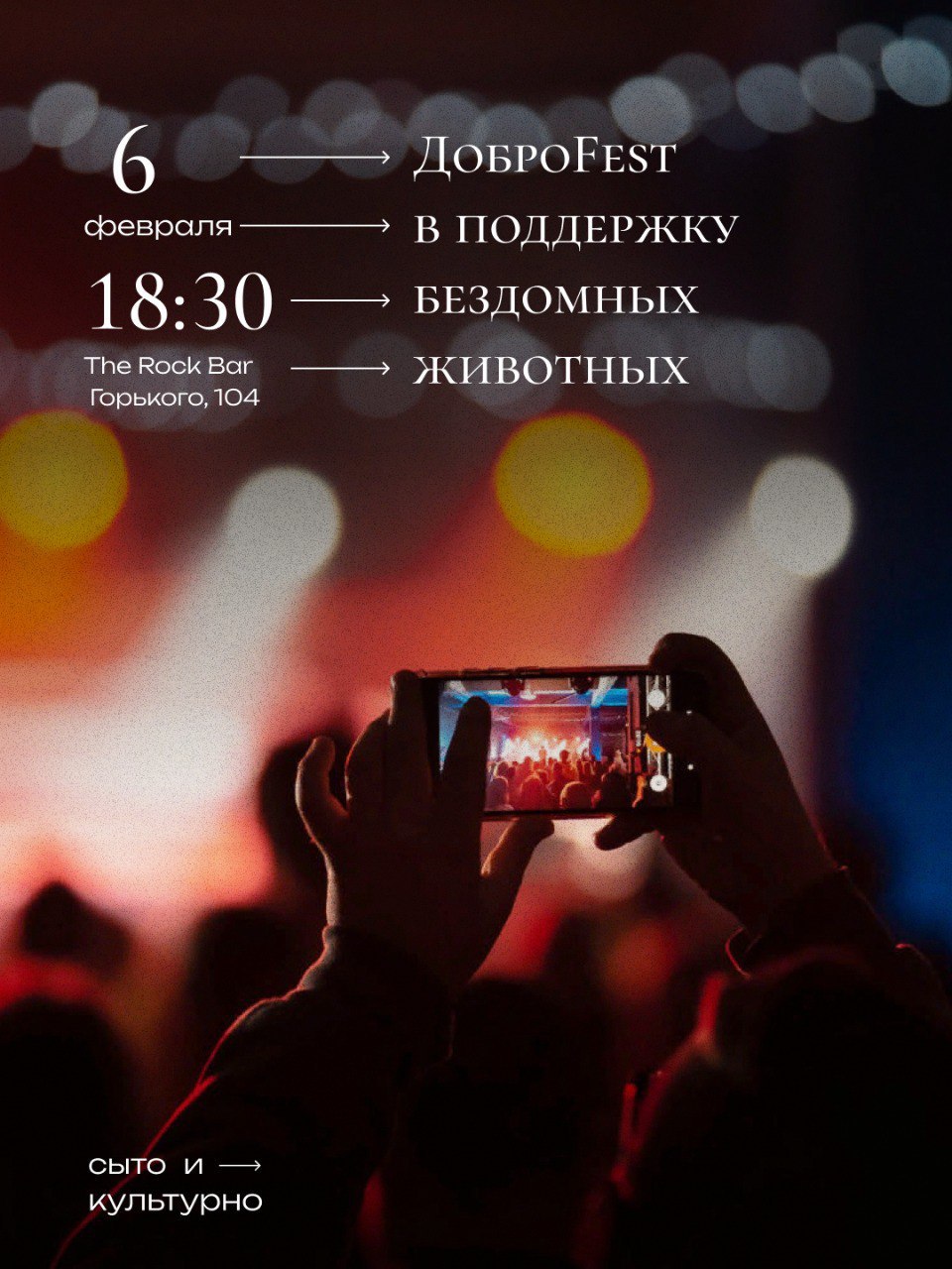 Идём слушать панк и помогать животным